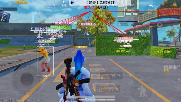 和平精英辅助【COCO】